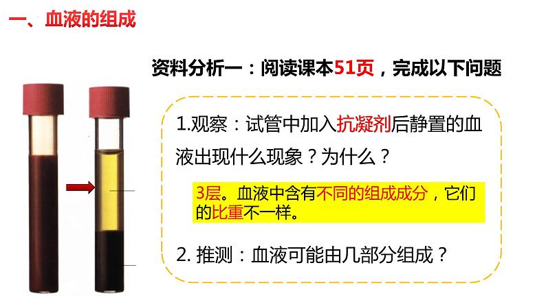 4.4.1 流动的组织-血液(课件)2023--2024学年人教版生物七年级下册第5页