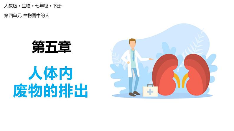 4.5人体内废物的排出(课件)2023--2024学年人教版生物七年级下册第1页