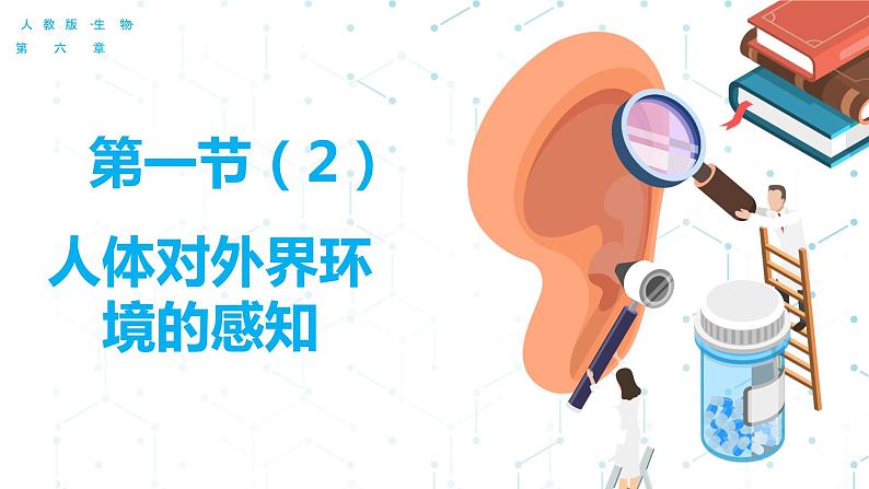 4.6.1 人体对外界环境的感知(第二课时)(课件)2023--2024学年人教版生物七年级下册第1页