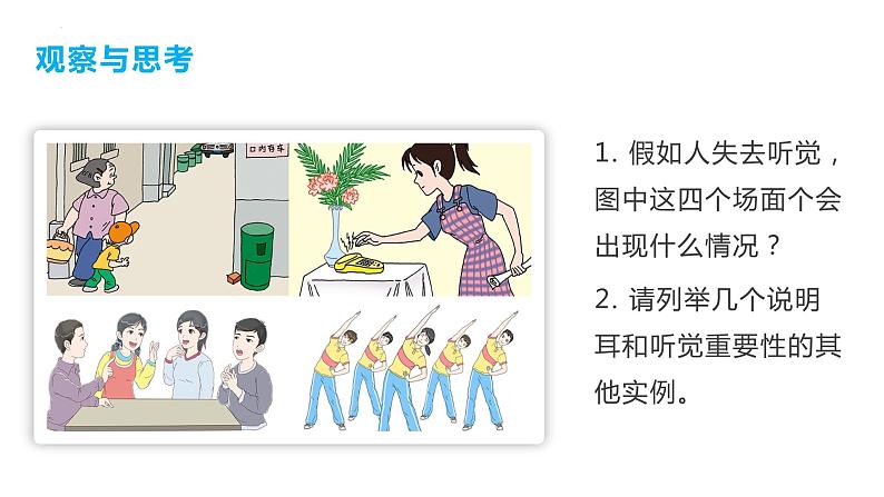 4.6.1 人体对外界环境的感知(第二课时)(课件)2023--2024学年人教版生物七年级下册第3页