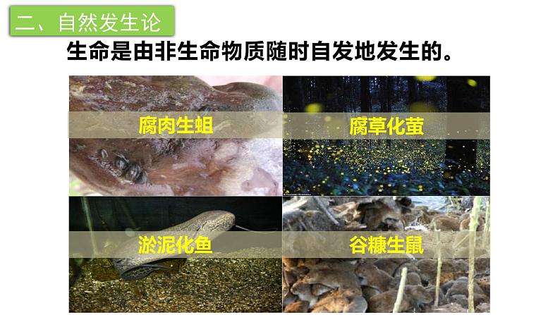 21.1 生命的起源(课件)2023--2024学年北师大版生物八年级下册04