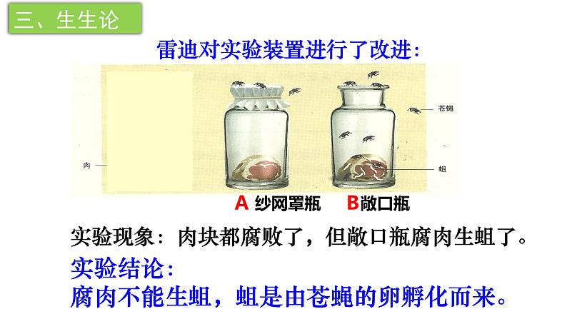 21.1 生命的起源(课件)2023--2024学年北师大版生物八年级下册06