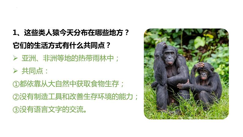 4.1.1人类的起源和发展(课件)2023--2024学年人教版生物七年级下册第8页