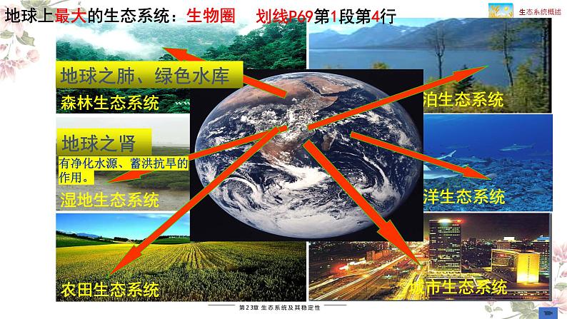 23.2 生态系统概述(课件)2023--2024学年北师大版生物八年级下册06