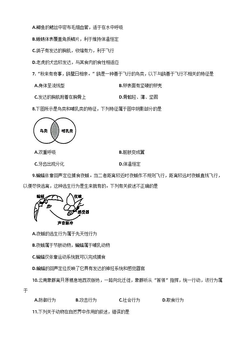 河南省信阳市息县2023-2024学年八年级上学期期末生物试题02