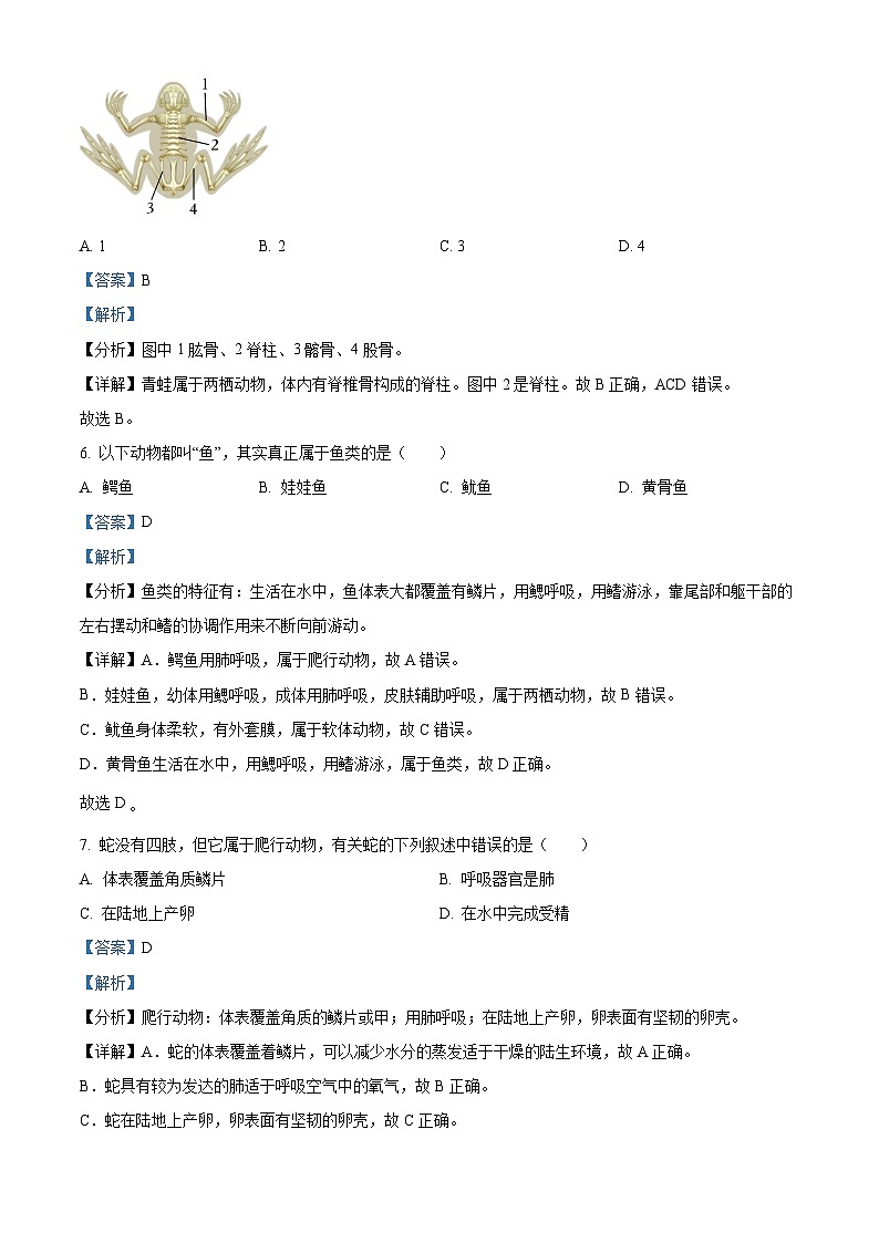 01,湖北省武汉市黄陂区2023-2024学年八年级上学期期中生物试卷第3页