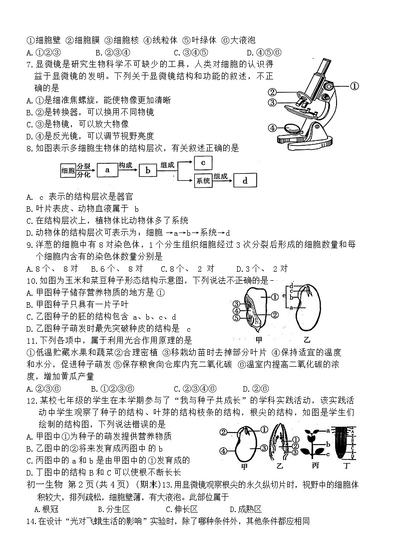 38,山西省临汾市洪洞八校联考2023-2024学年七年级上学期期末生物试题(1)02