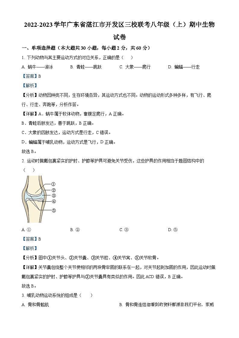 93,广东省湛江市开发区三校联考2022-2023学年八年级上学期期中生物试题第1页