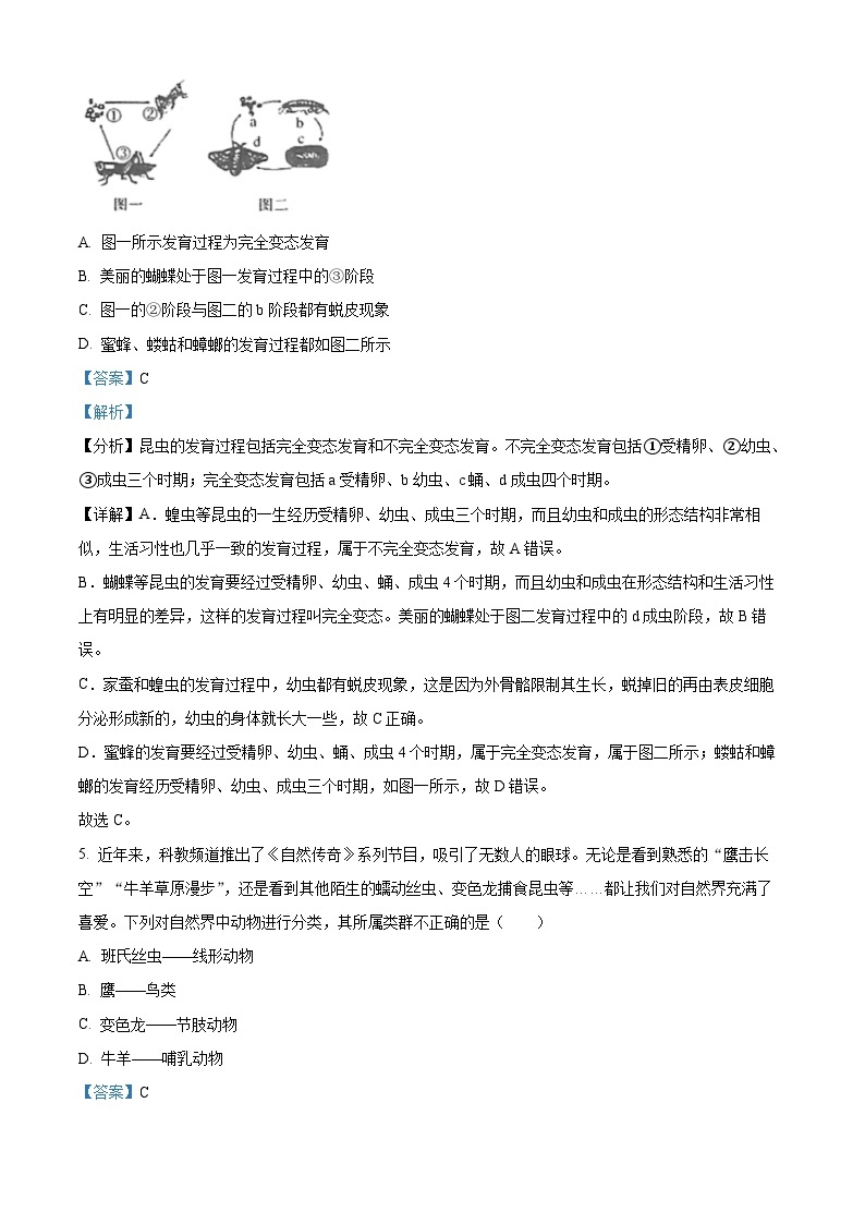 95，山西省吕梁市孝义市2023-2024学年八年级上学期12月月考生物试题03