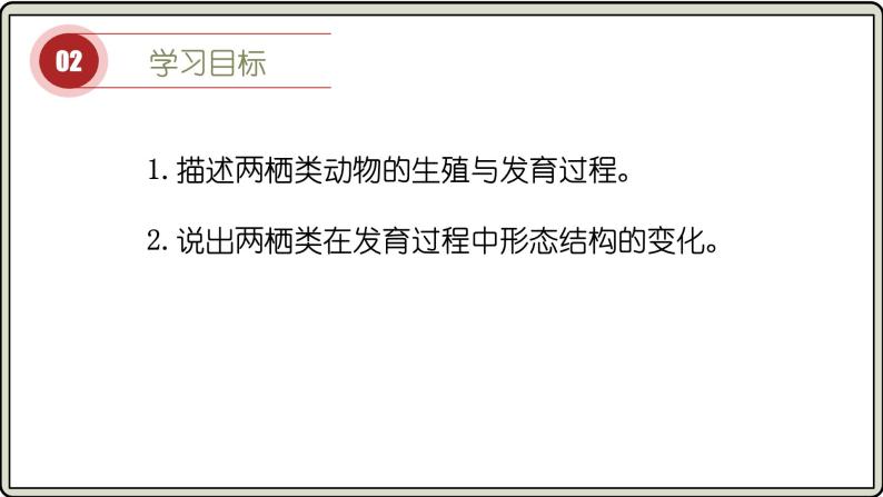 苏教版生物八年级下册.第二十一章 4.第四节 两栖类的生殖与发育 PPT课件03