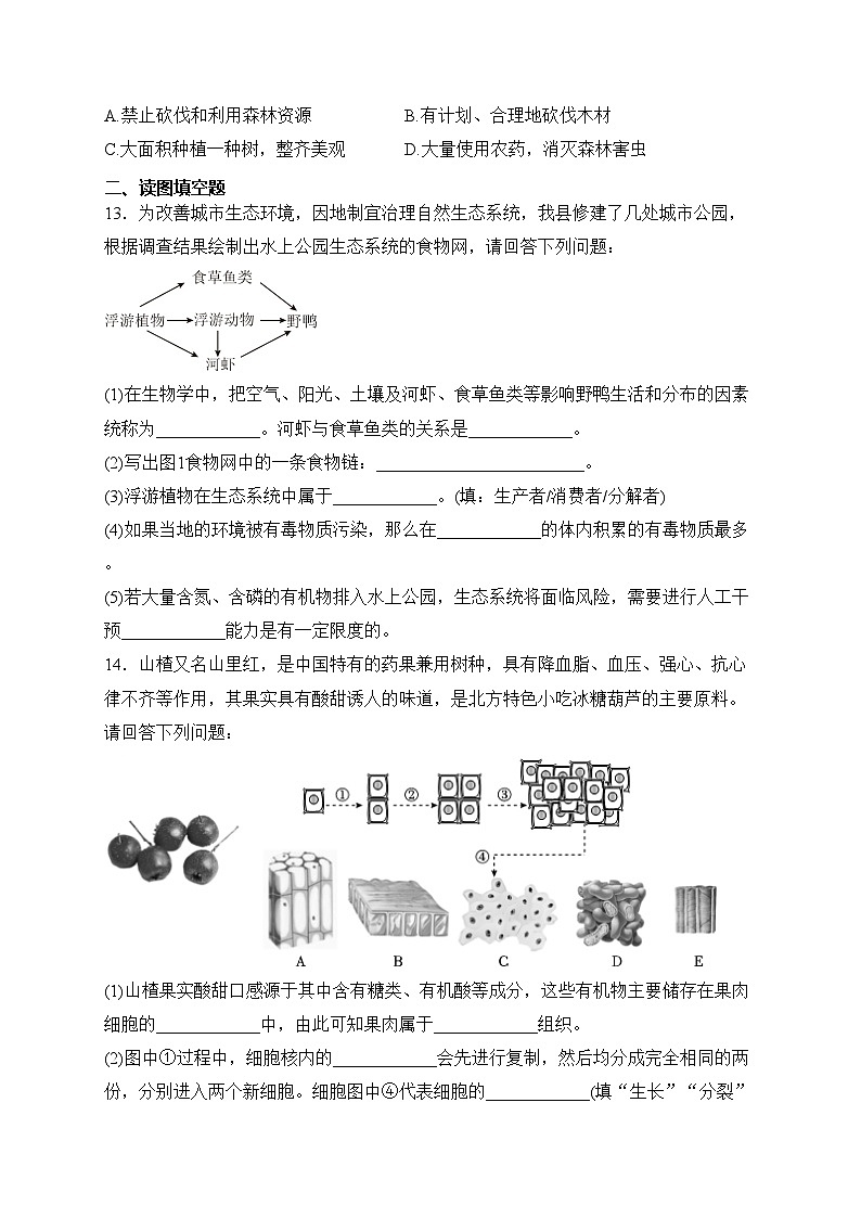 辽宁省葫芦岛市建昌县2023-2024学年七年级上学期期末检测生物试卷(含答案)第3页