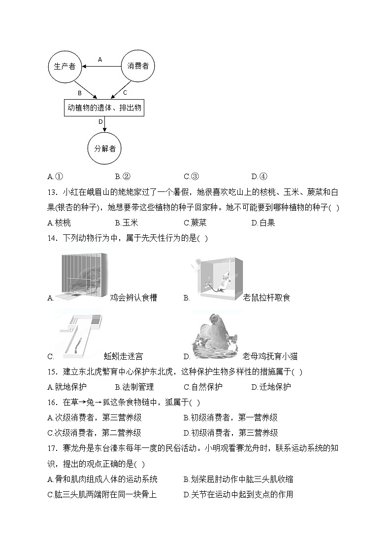 江苏省盐城市东台市2023-2024学年八年级上学期12月月考生物试卷(含答案)03