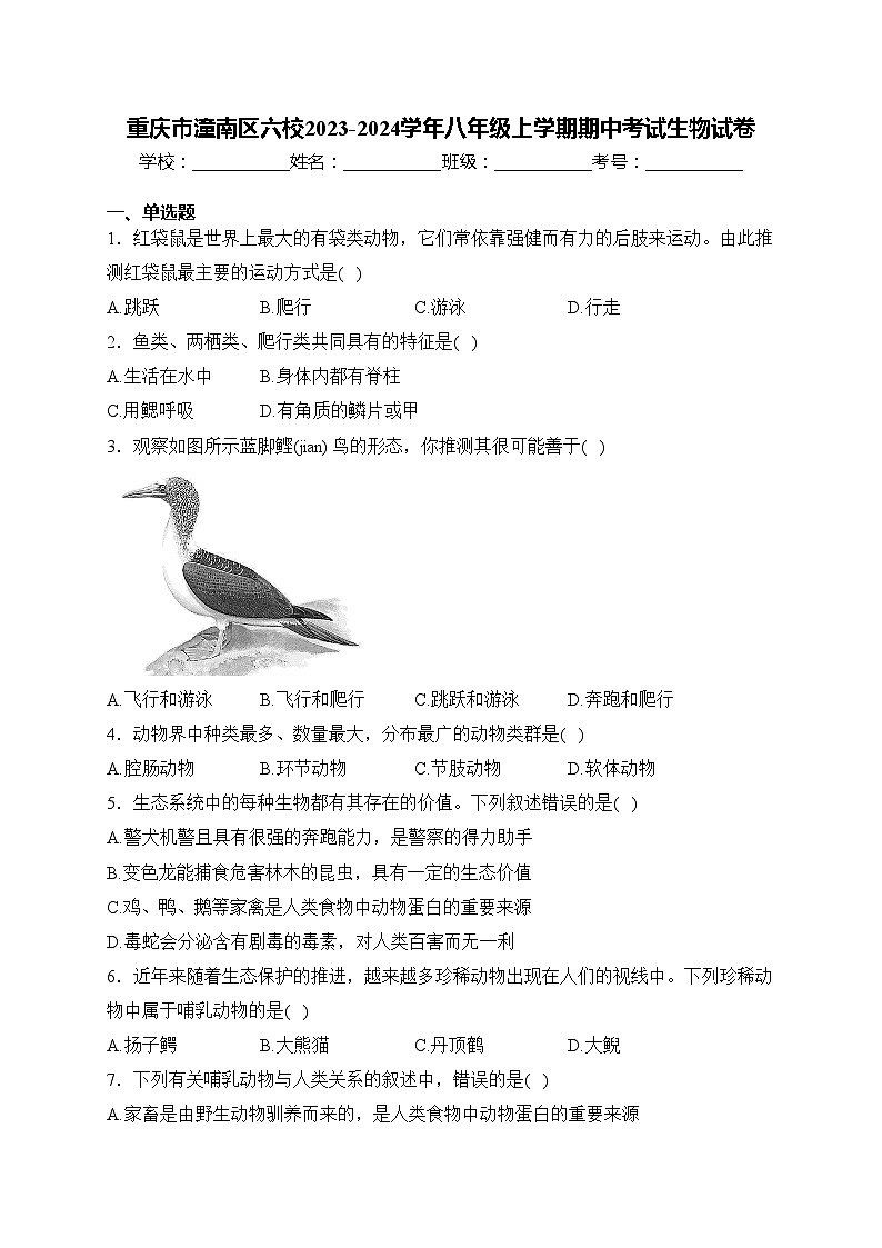 重庆市潼南区六校2023-2024学年八年级上学期期中考试生物试卷(含答案)第1页