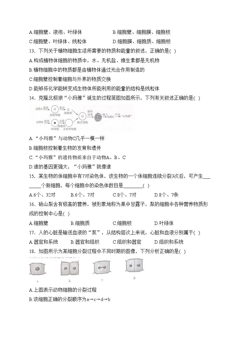 安徽省铜陵市铜官区部分学校2023-2024学年七年级上学期教学评价二(期中)生物试卷(含答案)第3页