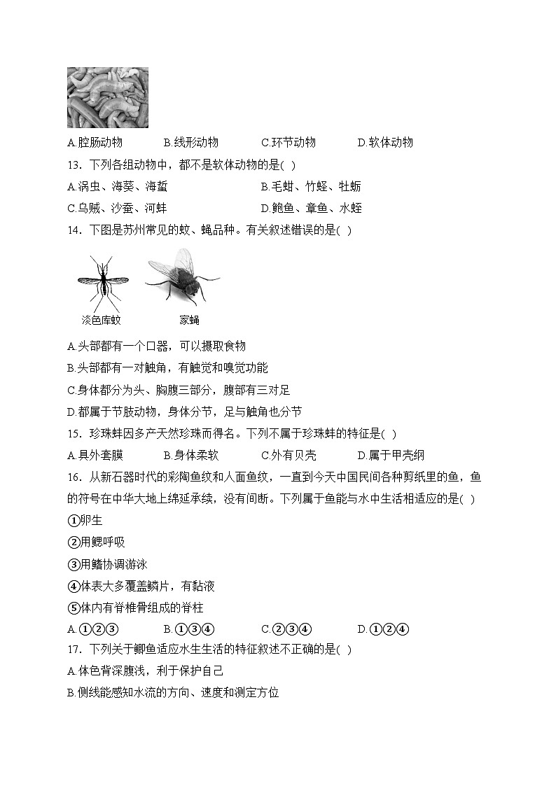 广东省茂名市第一中学2023-2024学年八年级上学期第七周素养展评生物试卷(含答案)第3页