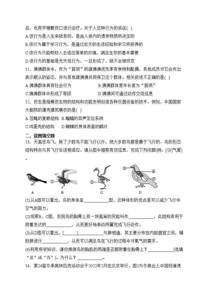 貴州省貴陽(yáng)市多區(qū)聯(lián)考2023-2024學(xué)年八年級(jí)上學(xué)期期中考試生物試卷(含答案)第3頁(yè)