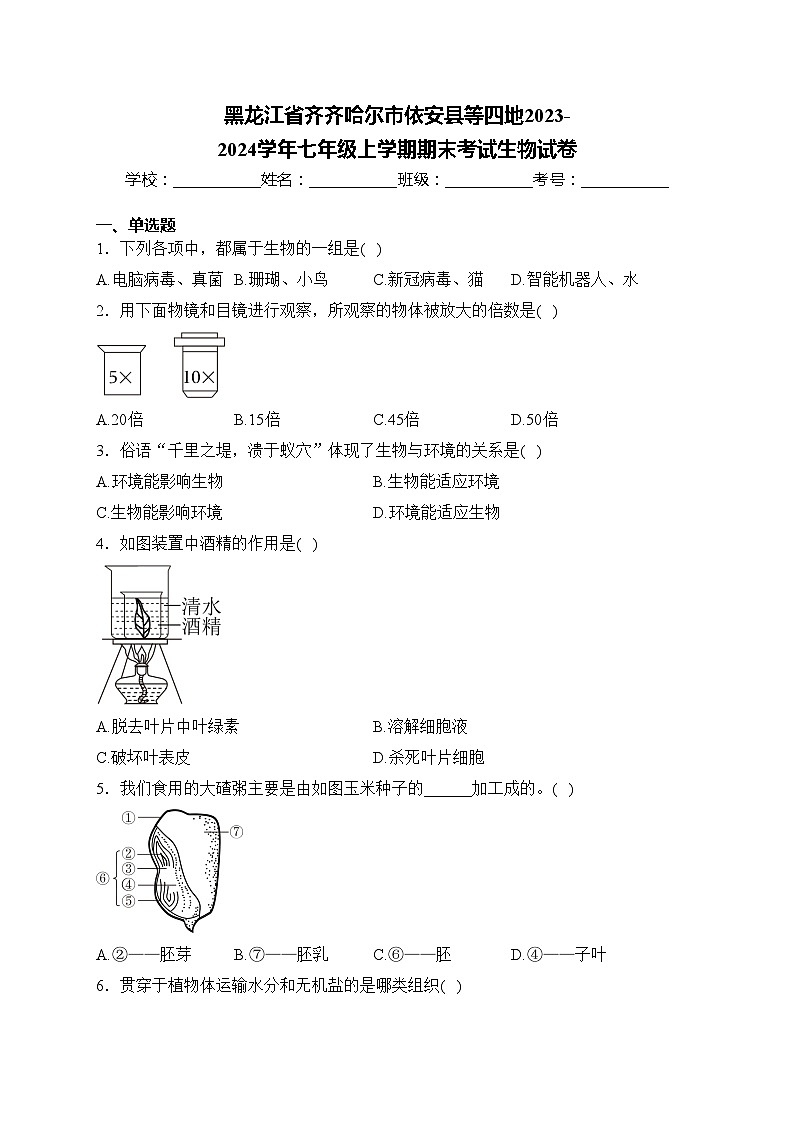黑龙江省齐齐哈尔市依安县等四地2023-2024学年七年级上学期期末考试生物试卷(含答案)第1页