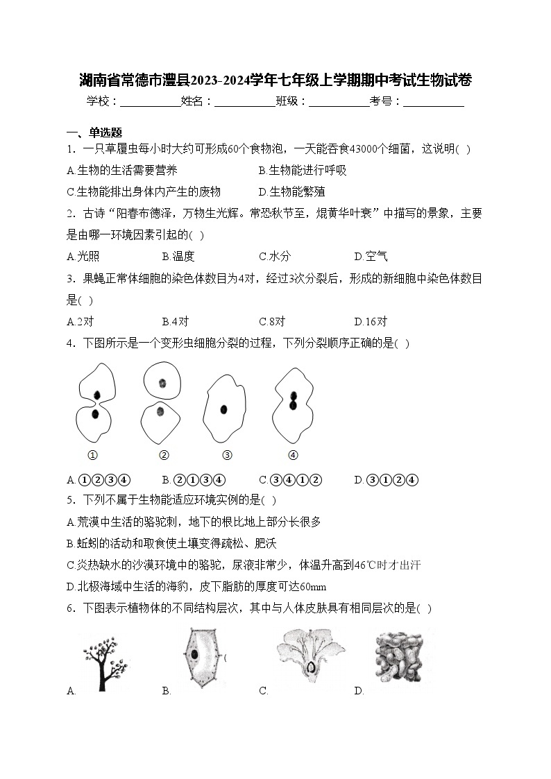 湖南省常德市澧县2023-2024学年七年级上学期期中考试生物试卷(含答案)01