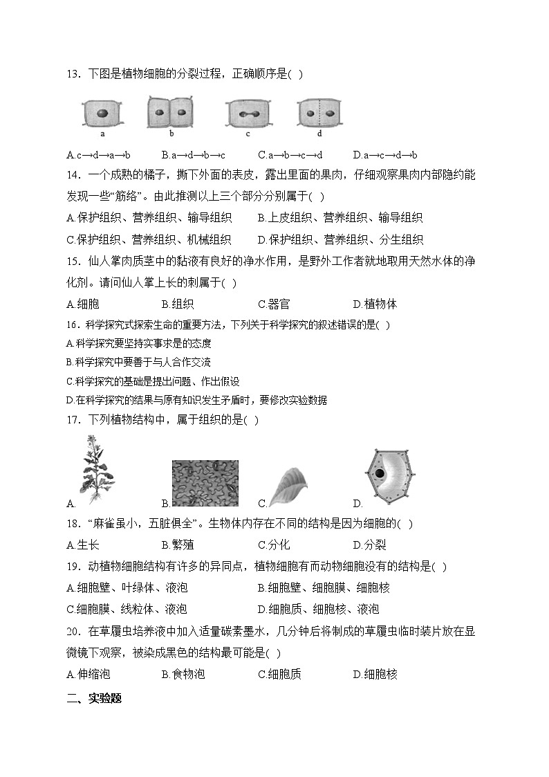 江西丰城中学2023-2024学年七年级上学期第一次阶段性测试生物试卷(含答案)03