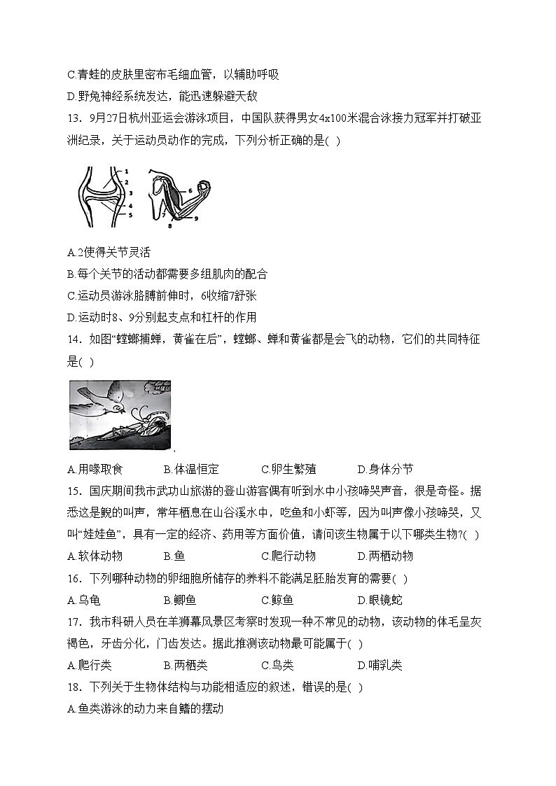 江西省萍乡市芦溪县2023-2024学年八年级上学期期中质量监测生物试卷(含答案)03