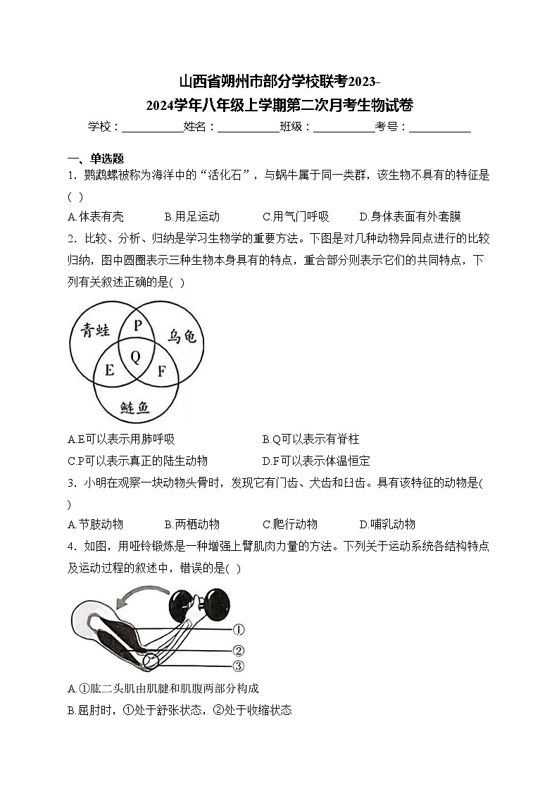 山西省朔州市部分学校联考2023-2024学年八年级上学期第二次月考生物试卷(含答案)第1页