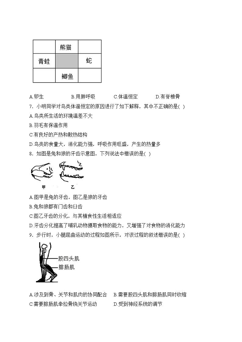 四川省瀘縣第一中學2023-2024學年八年級上學期期末考試生物試卷(含答案)第2頁
