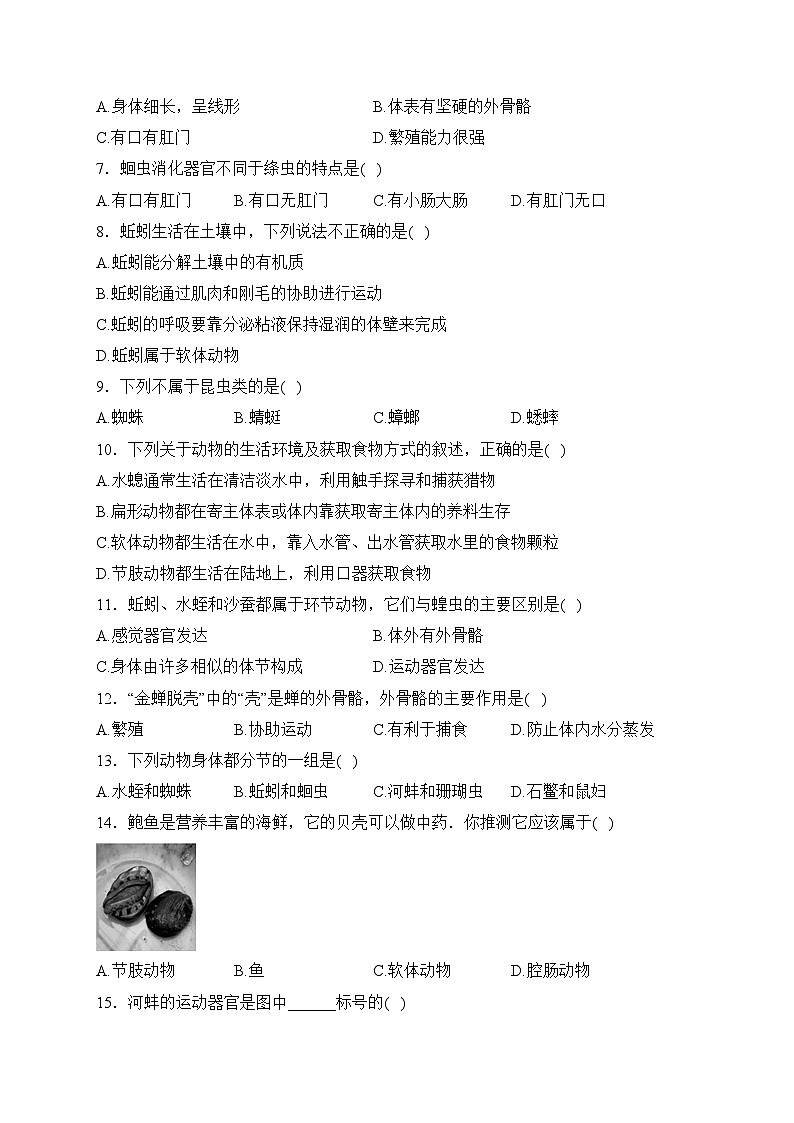 陕西省西安市远东第二中学2023-2024学年八年级上学期第一次月考生物试卷(含答案)02