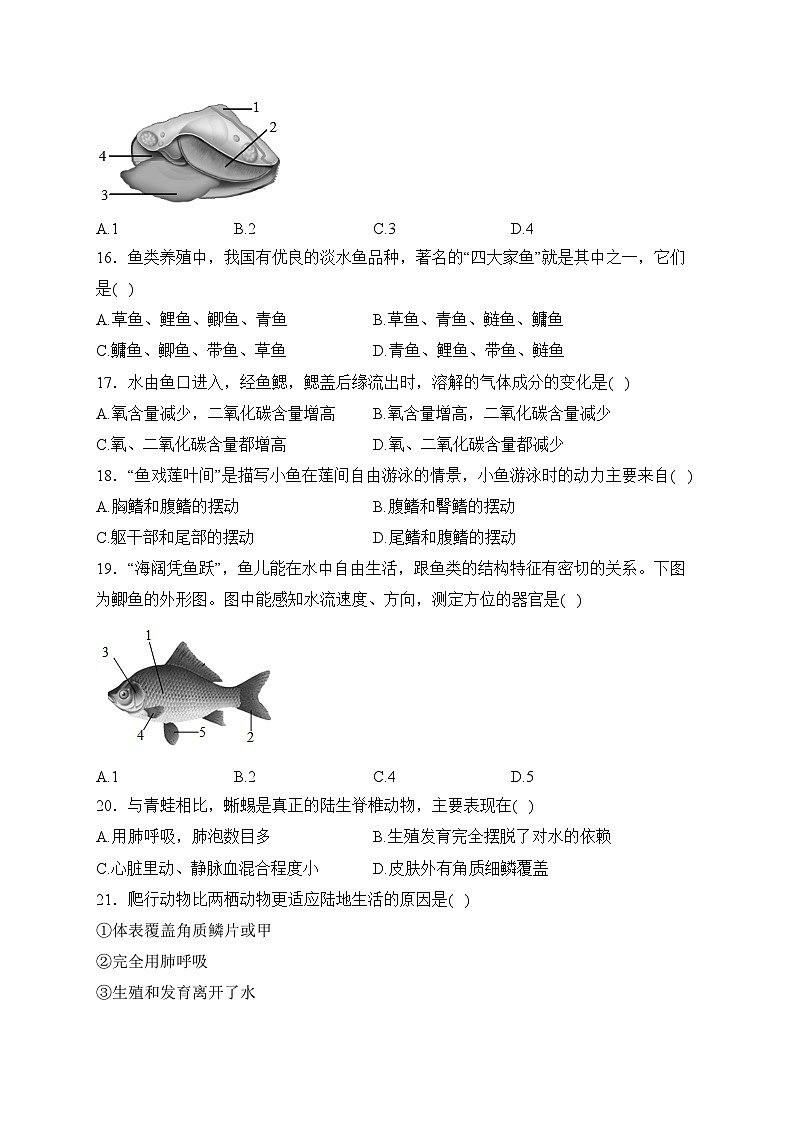 陕西省西安市远东第二中学2023-2024学年八年级上学期第一次月考生物试卷(含答案)03