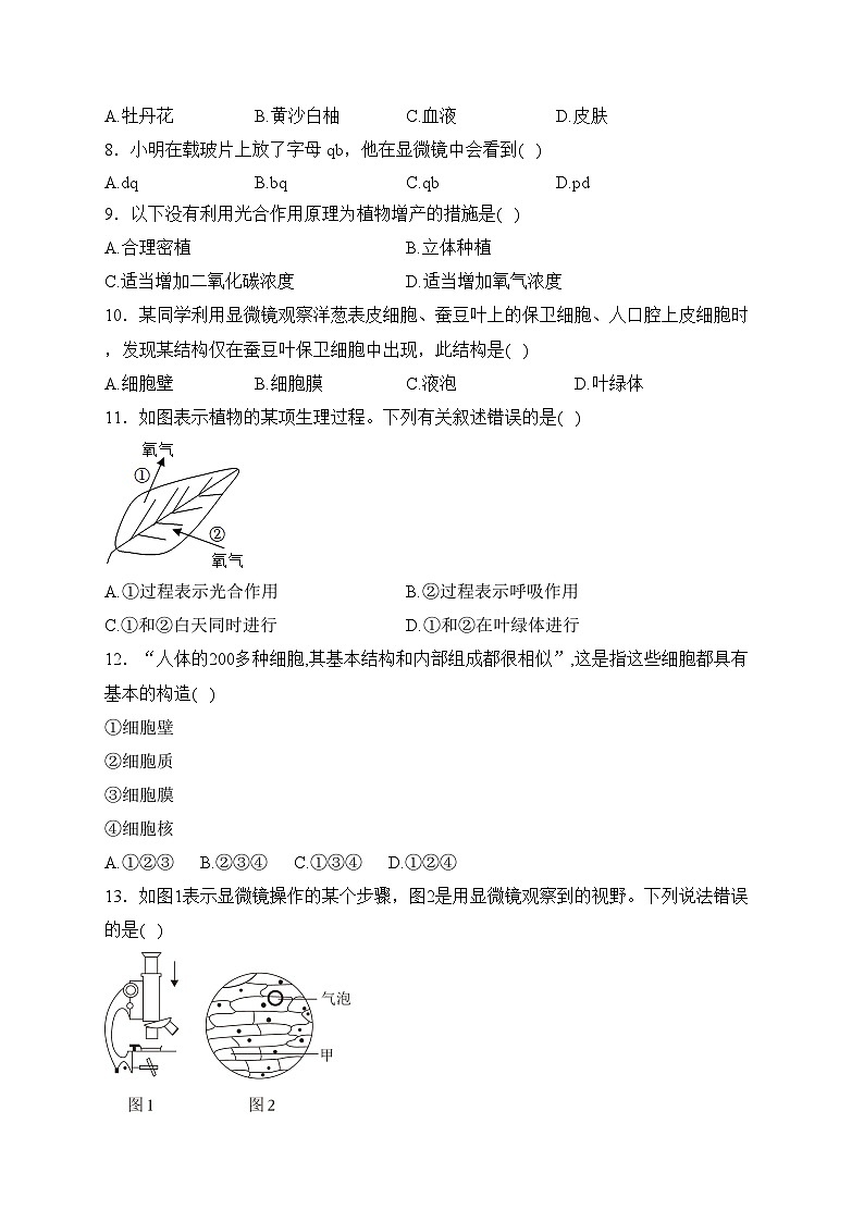 重庆市垫江实验中学校2023-2024学年七年级上学期期中生物试卷(含答案)第2页