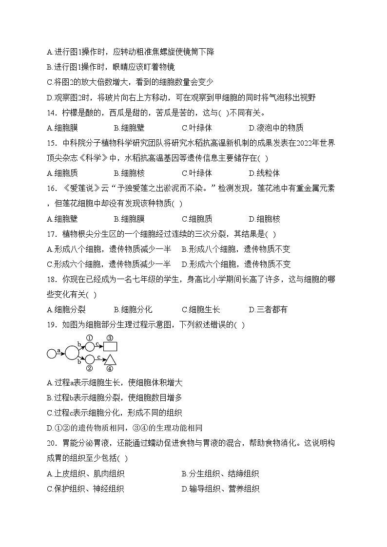 重庆市垫江实验中学校2023-2024学年七年级上学期期中生物试卷(含答案)第3页