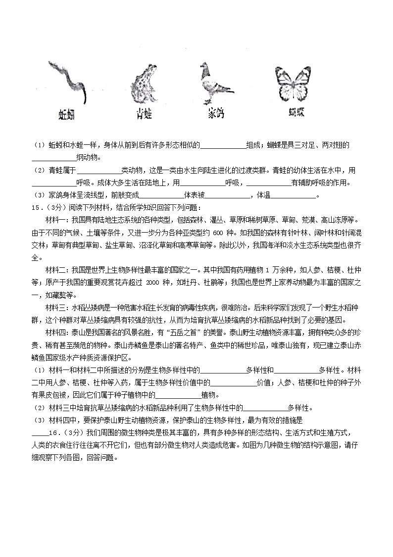 2023-2024学年辽宁省鞍山市铁西区八年级上学期期中生物试题及答案第3页