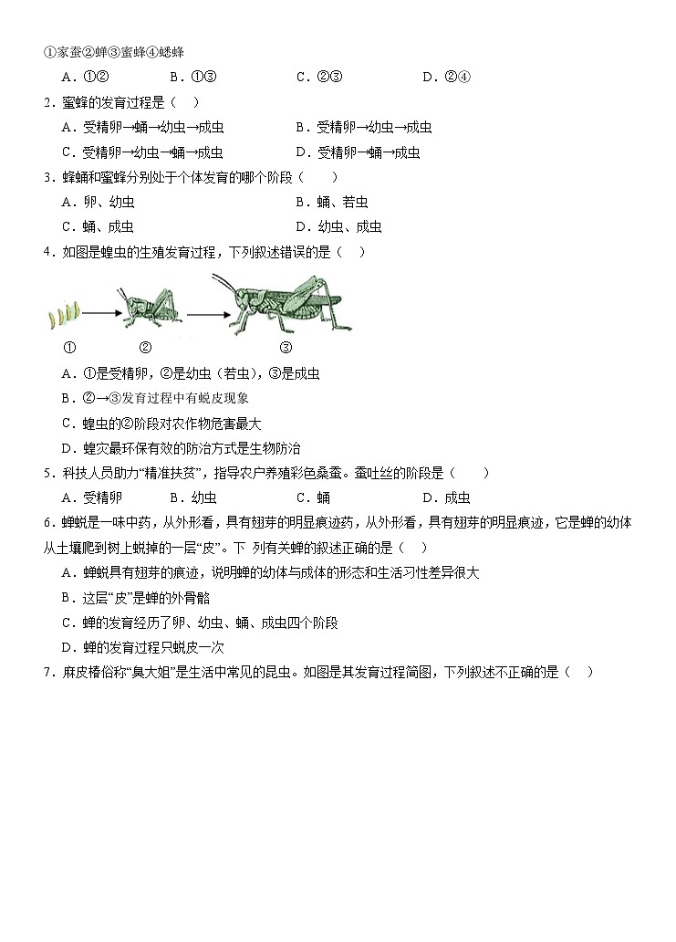 1.2昆虫的生殖和发育+导学案2023--2024学年人教版生物八年级下册02