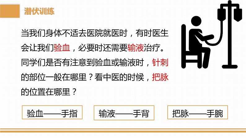 4.4.2血流的管道——血管课件2023-2024学年人教版生物七年级下册第4页