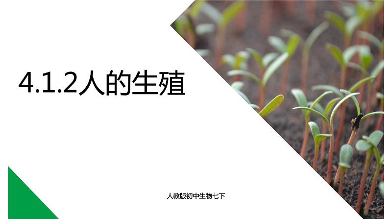 4.1.2人的生殖+课件2023-2024学年人教版生物七年级下册 (1)第1页
