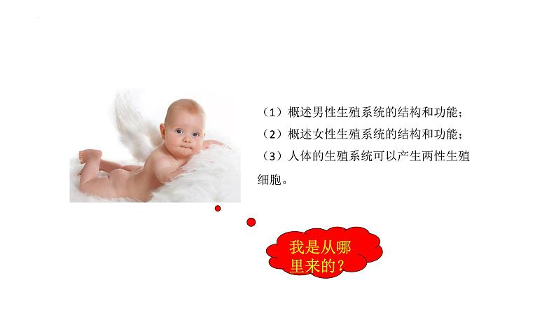 4.1.2人的生殖+课件2023-2024学年人教版生物七年级下册 (1)第2页