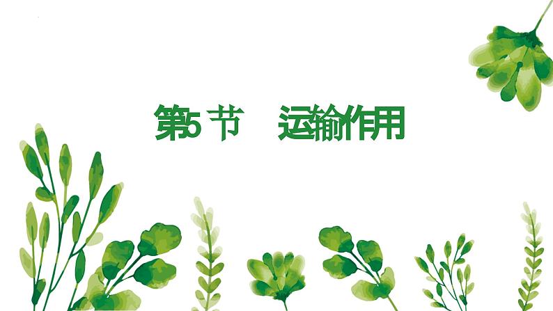 3.5.5运输作用课件2023-2024学年北师大版生物七年级上册第2页
