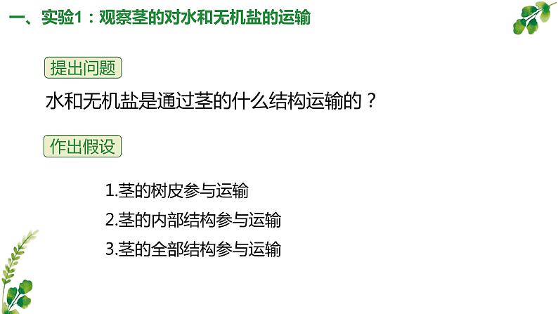 3.5.5运输作用课件2023-2024学年北师大版生物七年级上册第4页