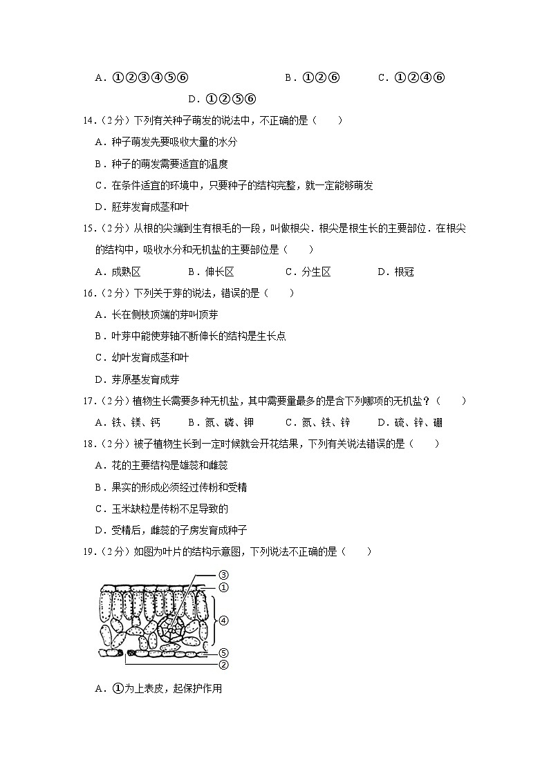 安徽省铜陵市铜官区2023-2024学年七年级上学期期末生物试卷第3页