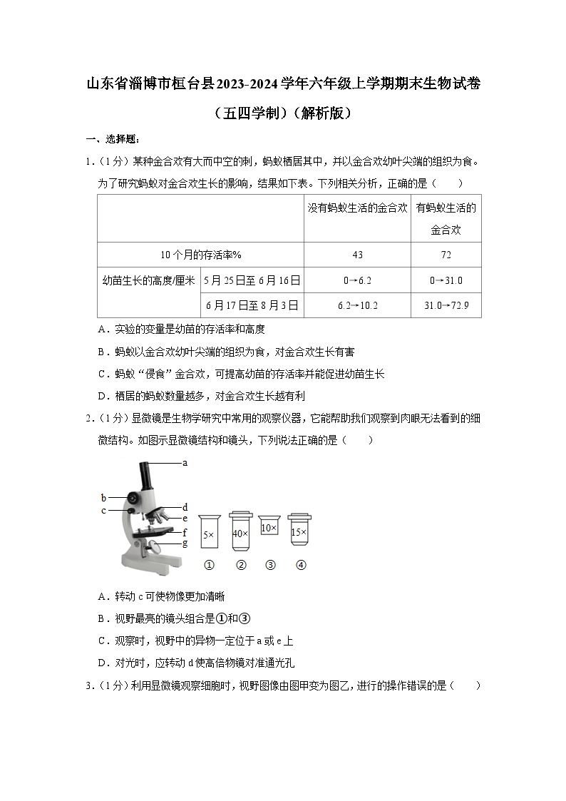 山东省淄博市桓台县2023-2024学年六年级上学期期末生物试卷（解析版）