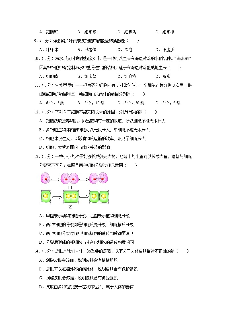 山东省淄博市桓台县2023-2024学年六年级上学期期末生物试卷(解析版)03
