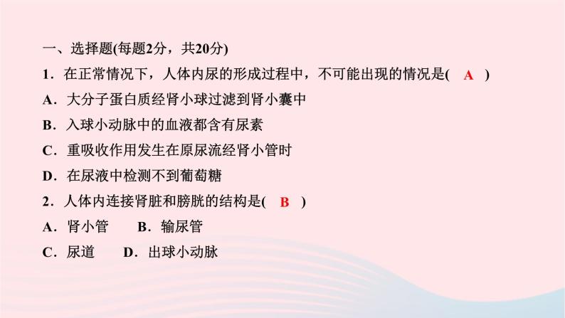 2024七年级生物下册第四单元生物圈中的人第五章人体内废物的排出周周清6作业课件新版新人教版02