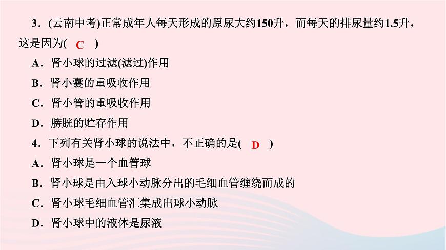 2024七年級(jí)生物下冊(cè)第四單元生物圈中的人第五章人體內(nèi)廢物的排出周周清6作業(yè)課件新版新人教版第3頁