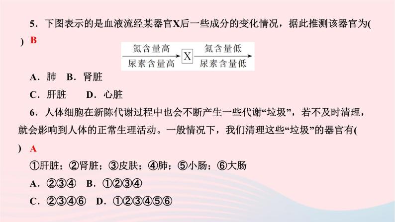 2024七年级生物下册第四单元生物圈中的人第五章人体内废物的排出周周清6作业课件新版新人教版04