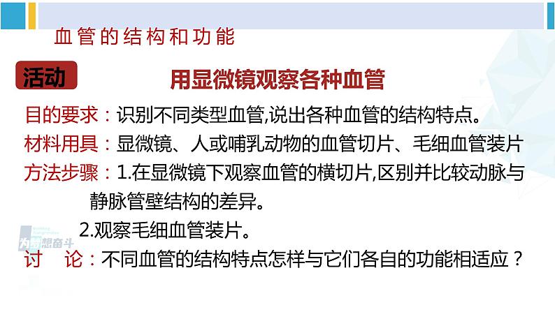 北师大版七年级生物下册 第9章 人体内的物质运输第1课时 血管和心脏(课件)07