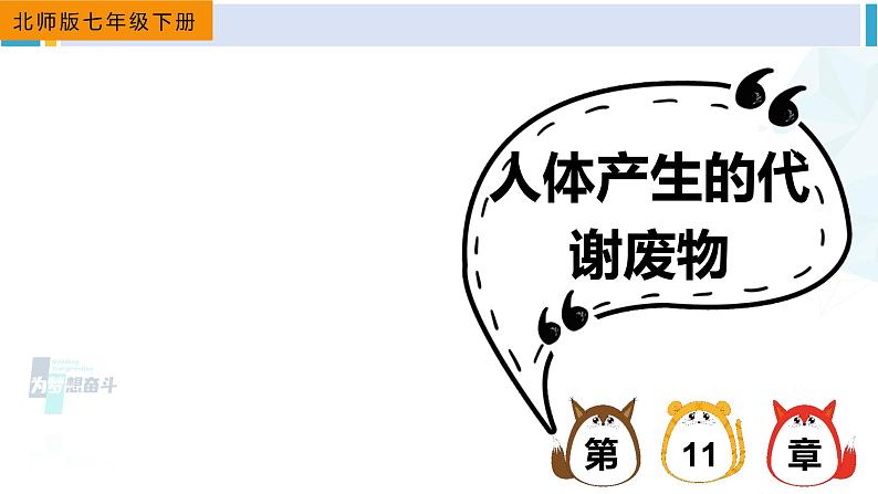 北师大版七年级生物下册 第11章 人体代谢废物的排出第1节 人体产生的代谢废物(课件)第1页