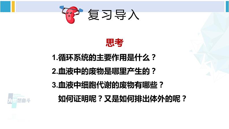 北师大版七年级生物下册 第11章 人体代谢废物的排出第1节 人体产生的代谢废物(课件)第2页