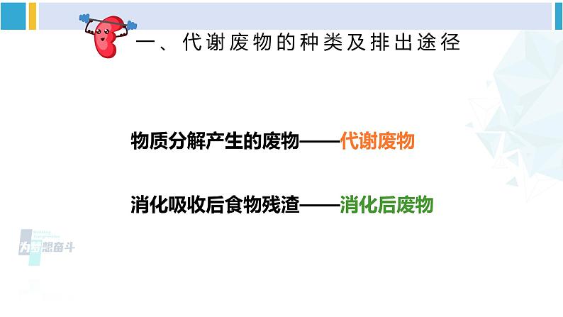 北师大版七年级生物下册 第11章 人体代谢废物的排出第1节 人体产生的代谢废物(课件)第8页