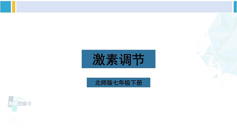 北师大版七年级生物下册第12章 人体的自我调节第3节 激素调节(课件)第1页