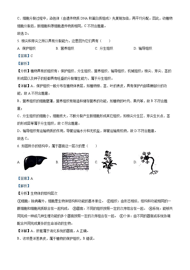 36,河北省邯郸市广平县2023-2024学年七年级上学期第三次月考生物试题第3页