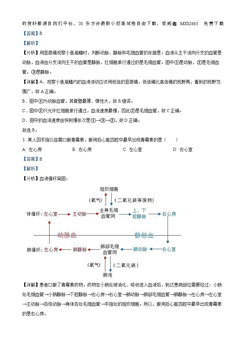 39,陕西省渭南市富平县2022-2023学年八年级上学期期末生物试题02